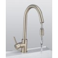 Single Handle Chrome Centerset LED Pull-out Kitchen Tap (TP0757)